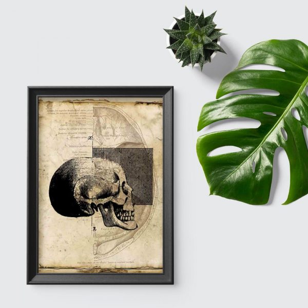 Plakat z czaszką dla fizjoterapeutów