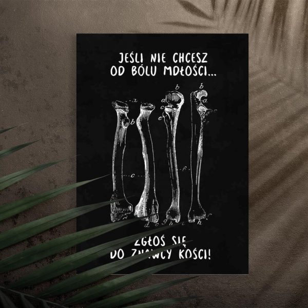 Plakat do gabinetu fizjoterapii - Kości
