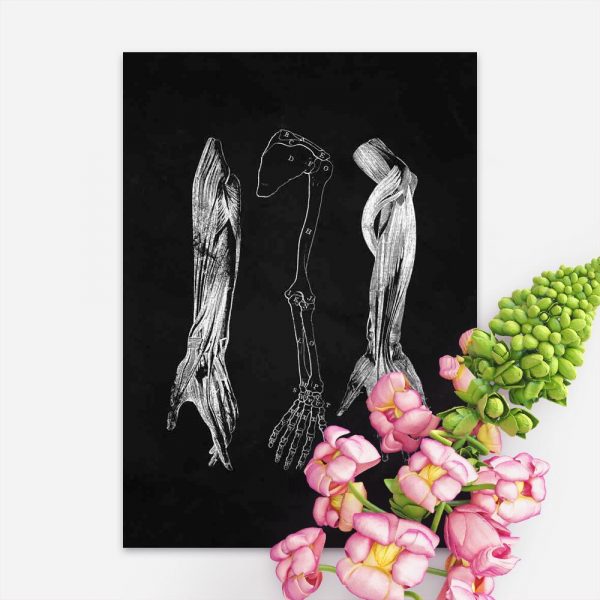 Plakat przedstawiający przedramię