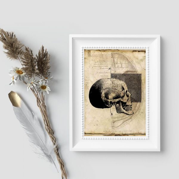 Plakat z czaszką dla fizjoterapeuty