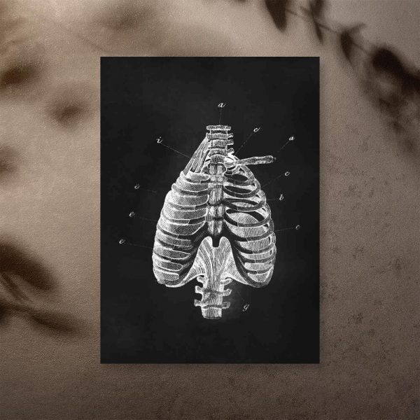 Plakat z klatką piersiową - Fizjoterapia