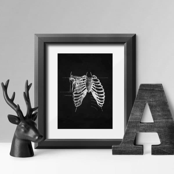 Plakat z motywem żeber