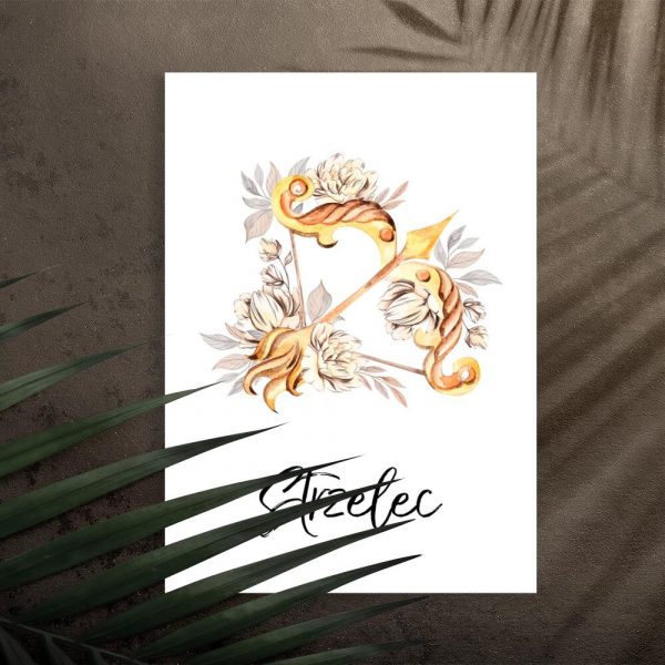 Plakat ze strzelcem na prezent