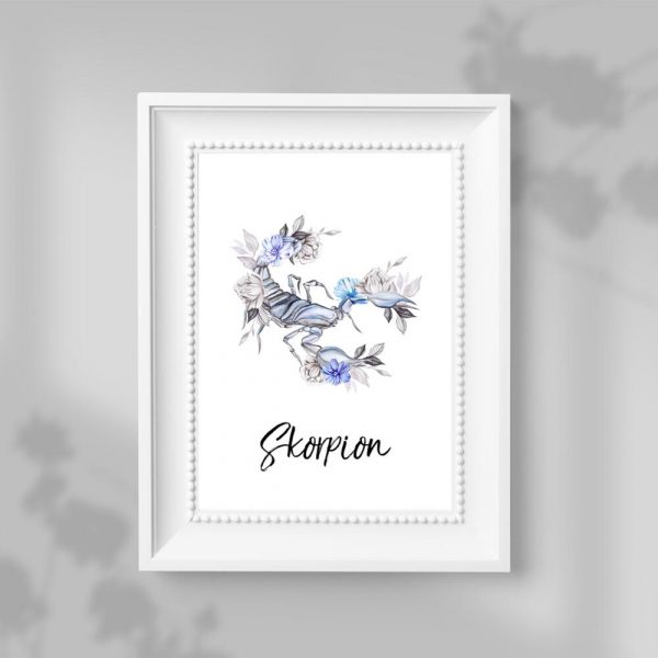 Plakat ze skorpionem do salonu