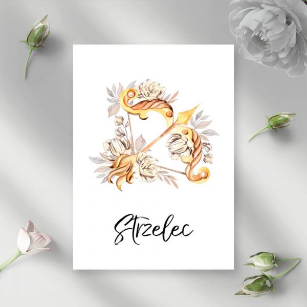 Plakat ze strzelcem do salonu