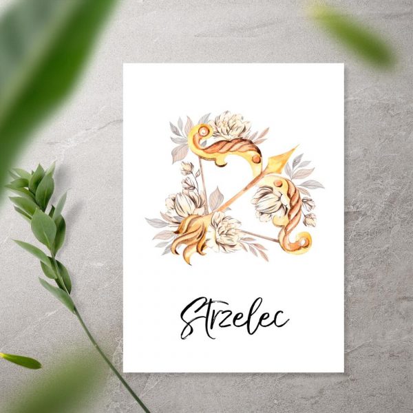 Plakat ze strzelcem do sypialni