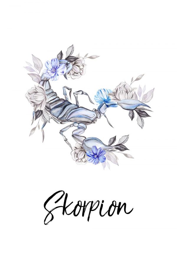 Plakat - Skorpion