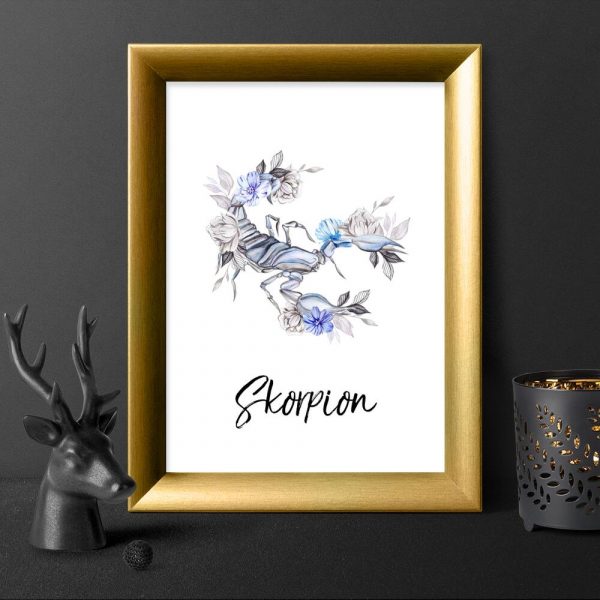 Plakat ze skorpionem do przedpokoju