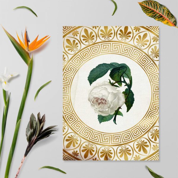 Plakat na prezent - Biała róża