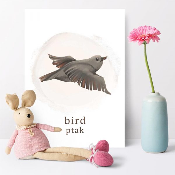Plakat do szkoły z ptakiem