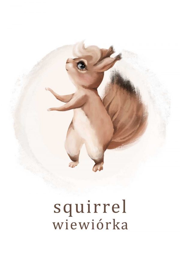 Plakat - Wiewiórka