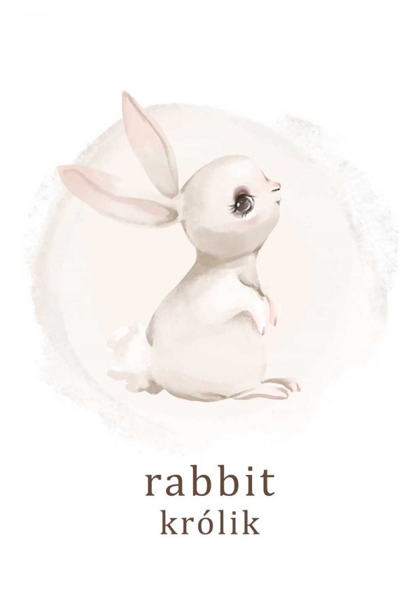 Plakat typograficzny - Rabbit