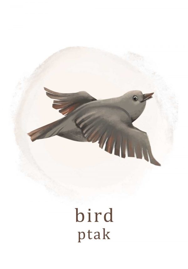 Plakat do pokoju dziecka z ptakiem