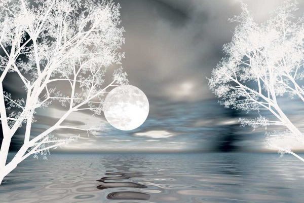 Fototapeta z motywem księżyca