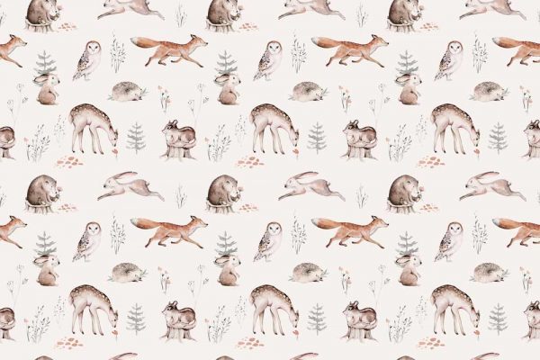 Foto-tapeta - Leśne zwierzęta