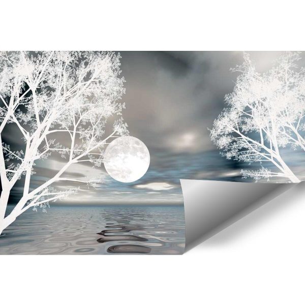 Fototapeta z motywem księżyca do salonu