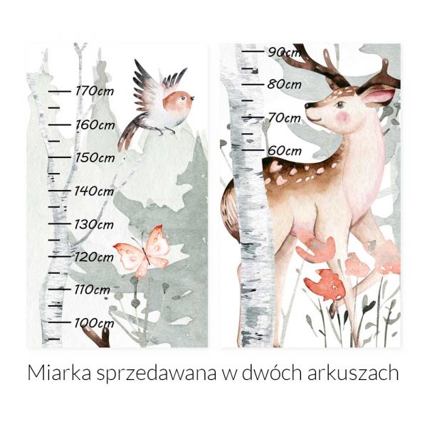 Miarka wzrostu dla dziewczynki - Las