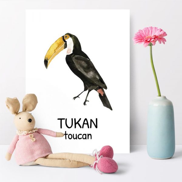 Plakat edukacyjny - Tukan dla dziewczynki