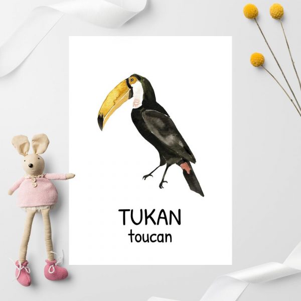 Plakat edukacyjny - Tukan dla dziecka