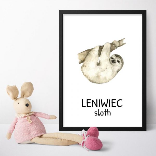 plakat typograficzny z leniwcem