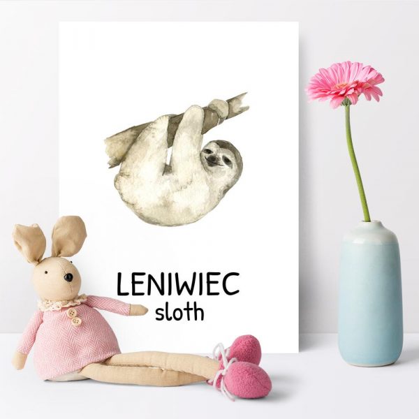 plakat dla chłopca- leniwiec