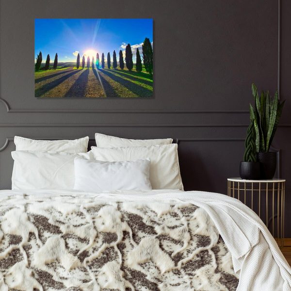 Obraz słońce i cyprysy