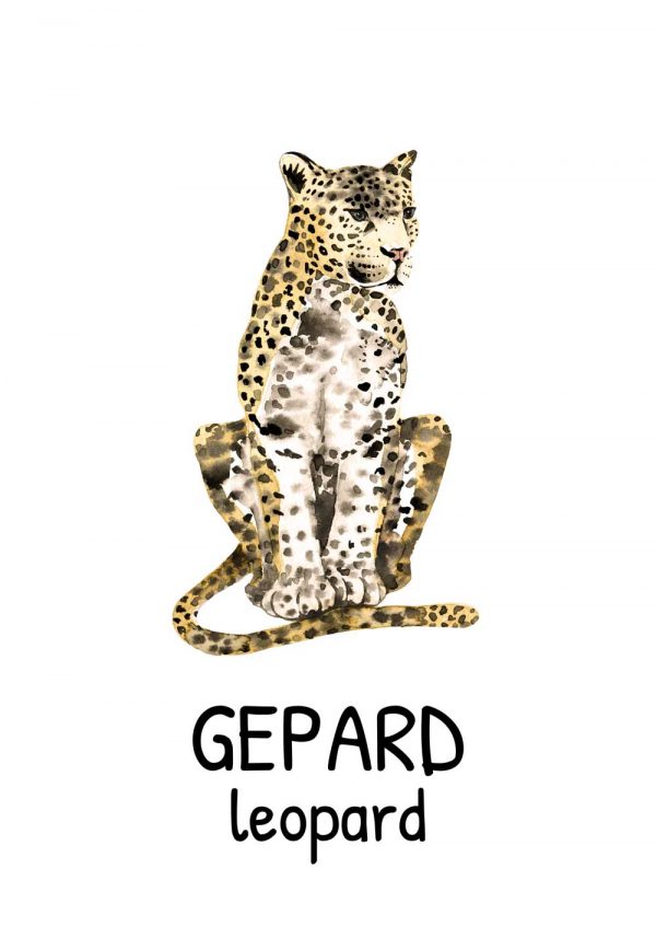 Plakat dla dzieci z polsko-angielskim napisem