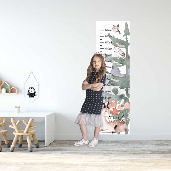 Miarka wzrostu - Jelonek