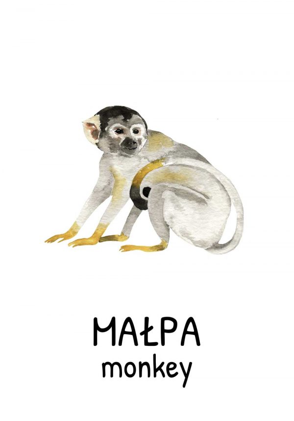 Plakat z małpą