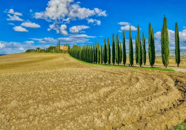 Obraz krajobraz Toskanii