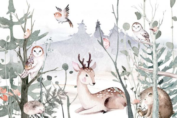 Bajkowy las - Fototapeta dla dzieci