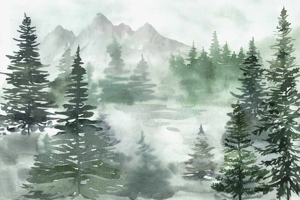 Fototapeta imitująca malowany obraz - Choinki