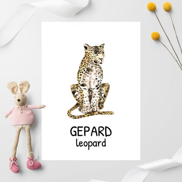 gepard w języku angielskim na plakacie do pokoju dziecięcego