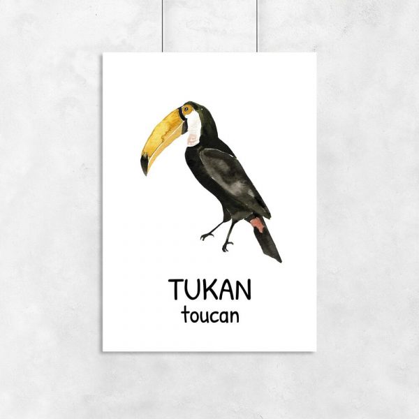 Plakat edukacyjny - Tukan dla dzieci