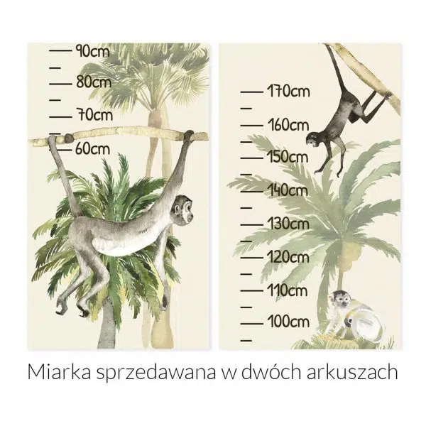 Małpki - Miarka wzrostu dla dziewczynek