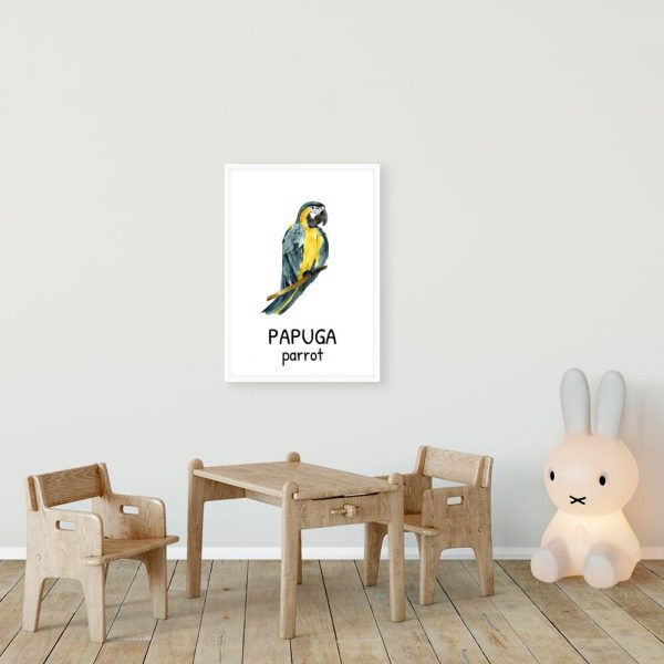 Plakat z papugą do pokoju dziecka