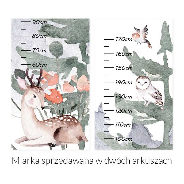 Miarka wzrostu dla dziewczynki - Jelonek