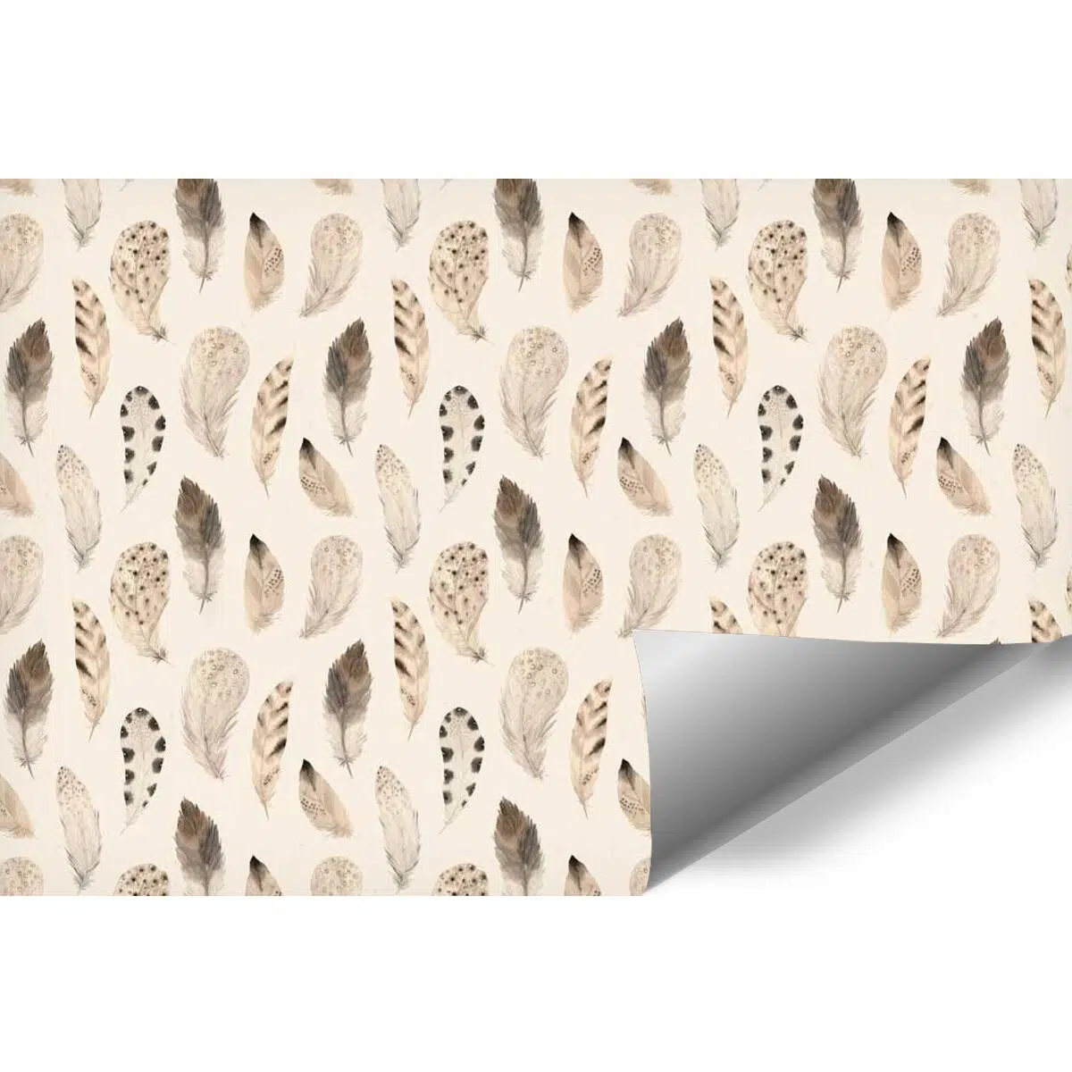 Fototapeta Boho - pióra