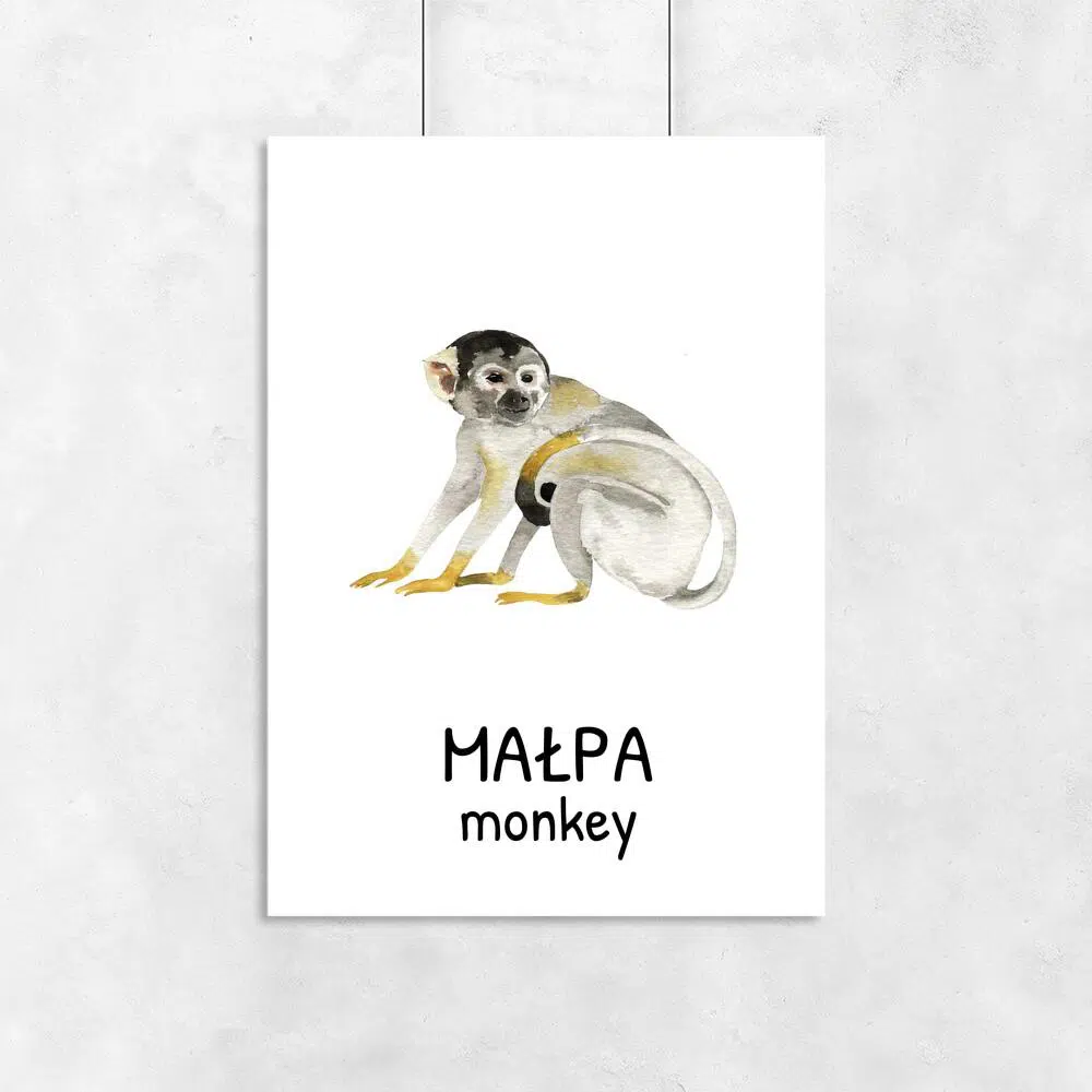 Plakat z małpą do pokoju dziecka