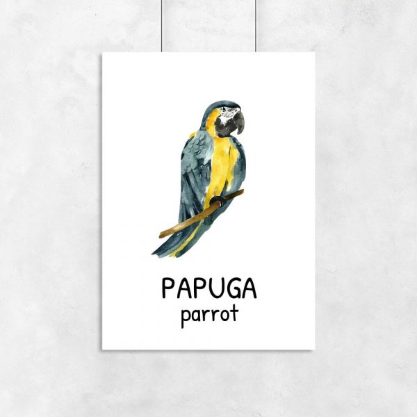 Plakat z papugą dla dziecka