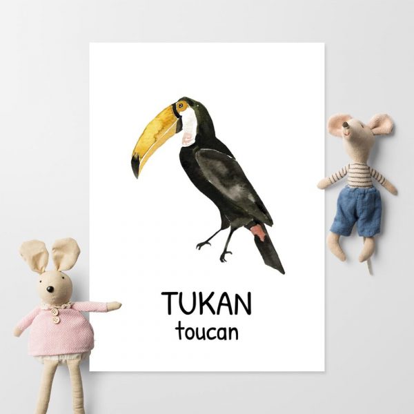 Plakat edukacyjny - Tukan dla chłopca