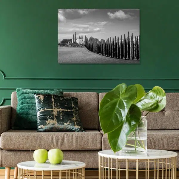 Obraz z szarą cyprysowa drogą