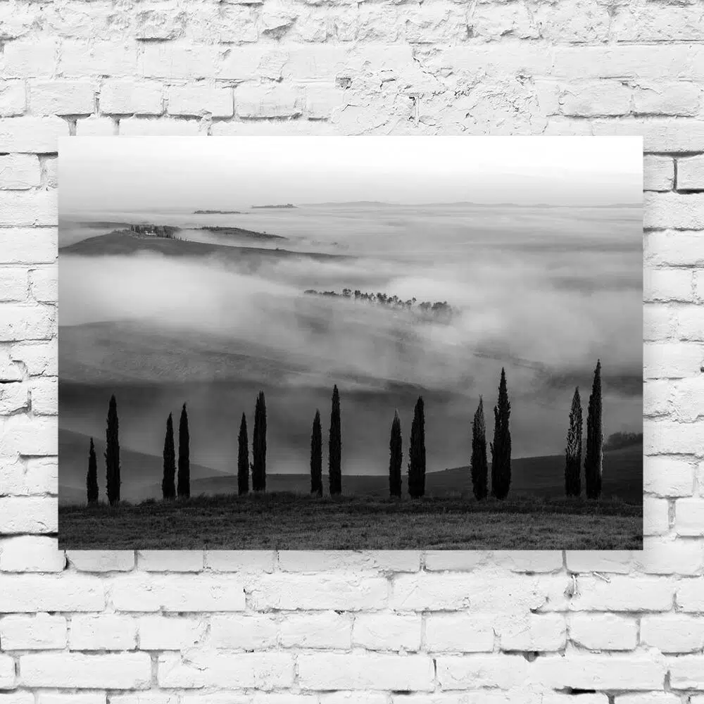 Obraz z czarno-białym krajobrazem z drzewkami do sypialni