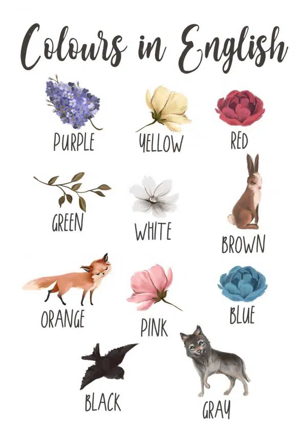 Plakat z kolorami dla dzieci