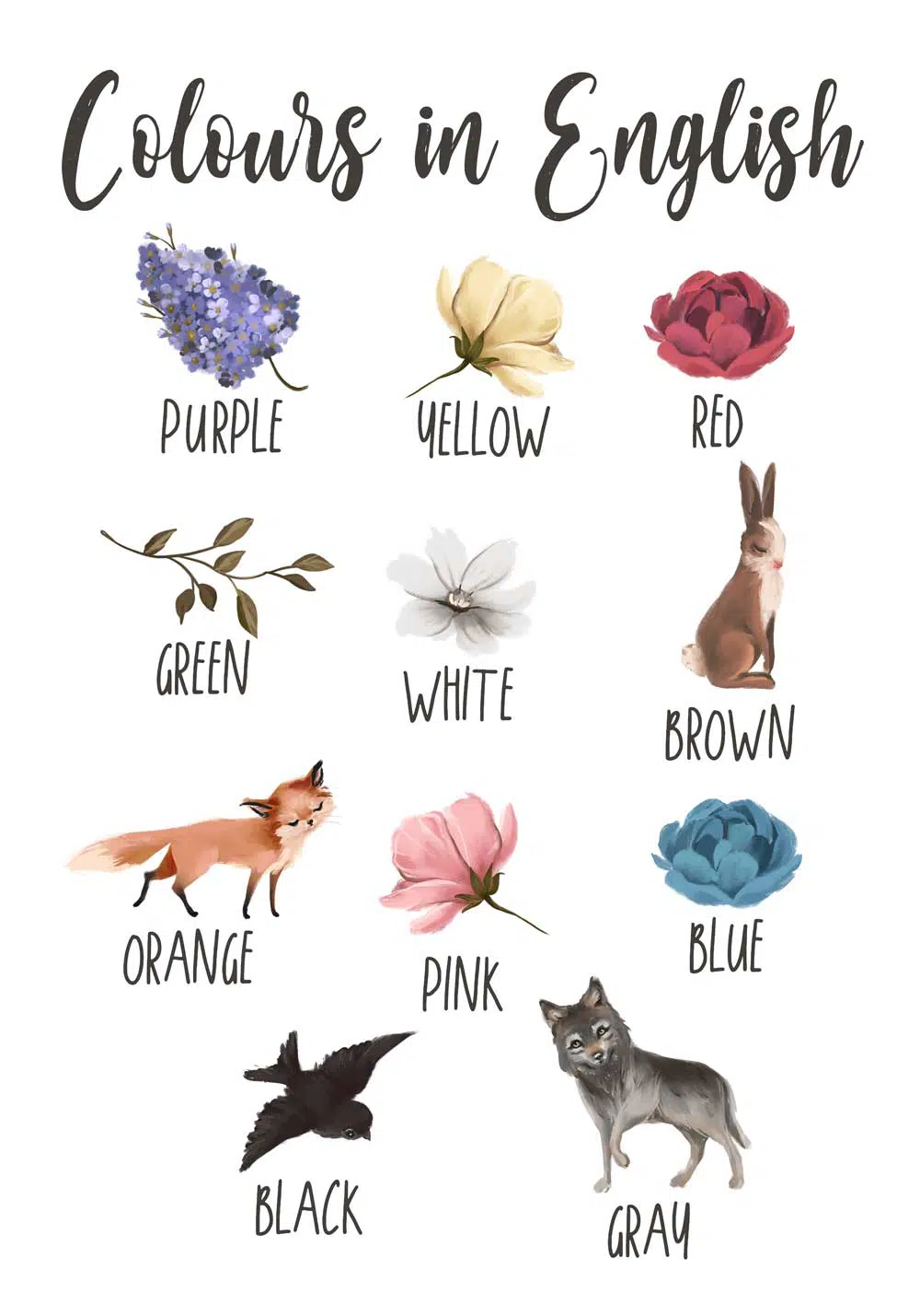 Plakat z kolorami dla dzieci