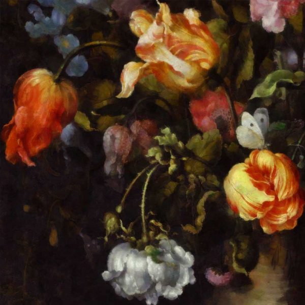 Fototapeta z tulipanami w kolorze czerwonym