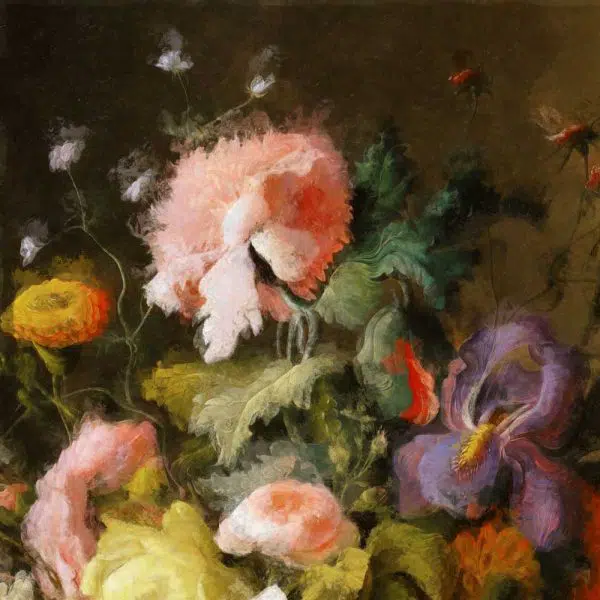 Foto-tapeta z różowym goździkiem