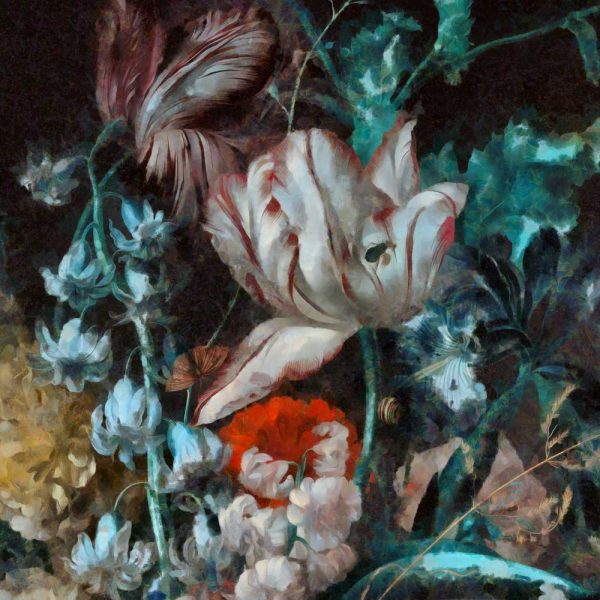 Fototapeta - Polne kwiaty