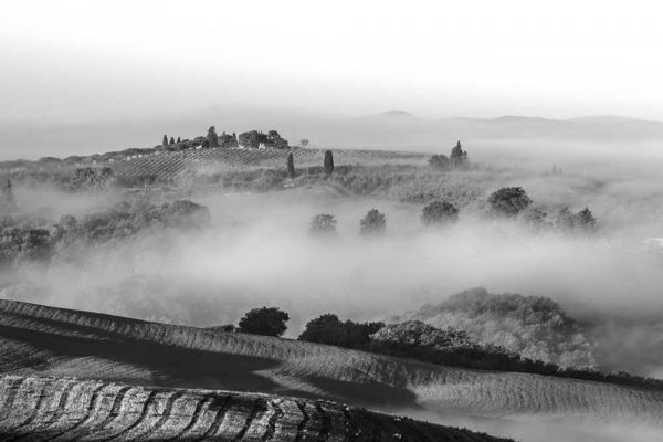 Obraz z górskim widokiem w szarym kolorze