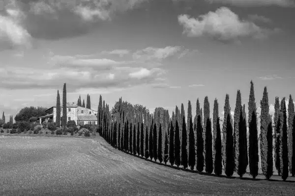 Obraz toskański pejzaż